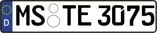 MS-TE3075
