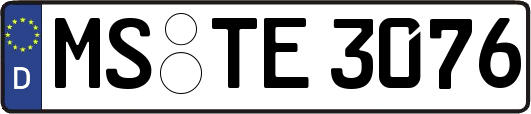 MS-TE3076