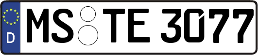 MS-TE3077