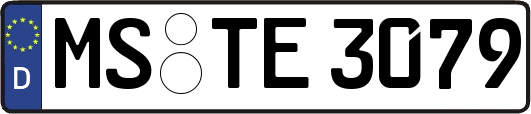 MS-TE3079