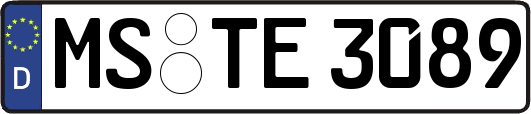 MS-TE3089