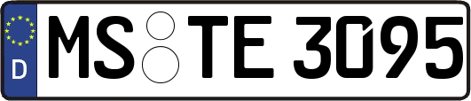 MS-TE3095