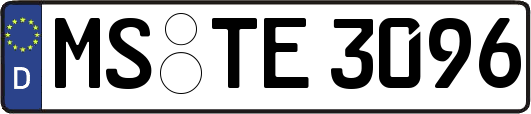 MS-TE3096