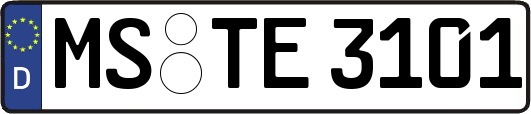 MS-TE3101