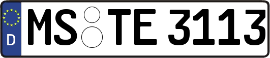 MS-TE3113