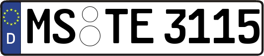 MS-TE3115