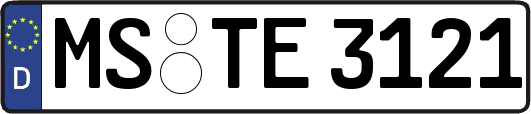 MS-TE3121