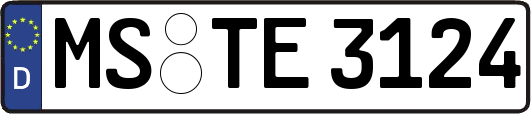 MS-TE3124