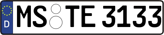 MS-TE3133