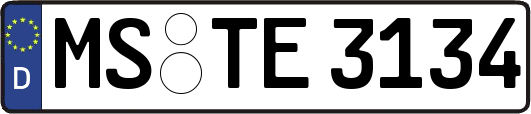 MS-TE3134
