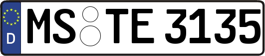 MS-TE3135