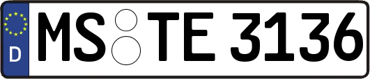 MS-TE3136
