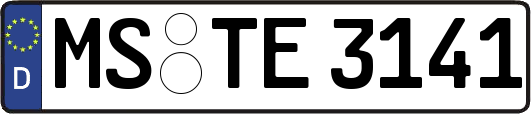 MS-TE3141