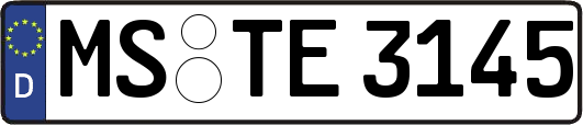 MS-TE3145