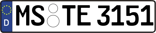 MS-TE3151