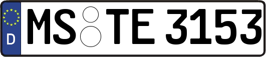 MS-TE3153