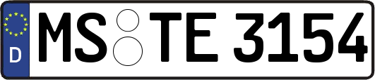 MS-TE3154