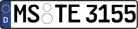 MS-TE3155