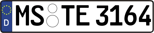 MS-TE3164