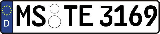 MS-TE3169