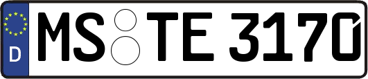 MS-TE3170