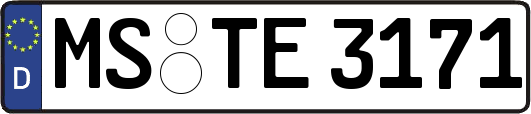 MS-TE3171