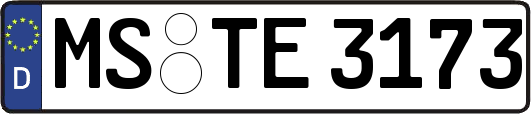 MS-TE3173
