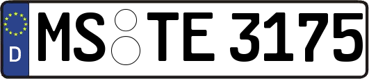 MS-TE3175