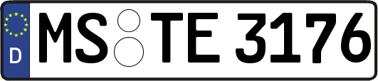MS-TE3176