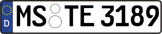 MS-TE3189