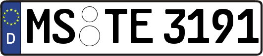 MS-TE3191