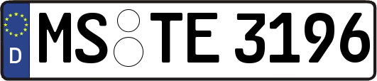 MS-TE3196