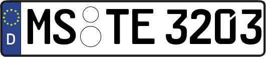 MS-TE3203