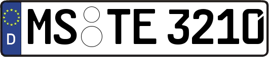 MS-TE3210
