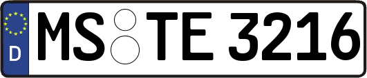 MS-TE3216