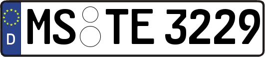 MS-TE3229