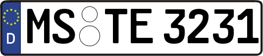 MS-TE3231