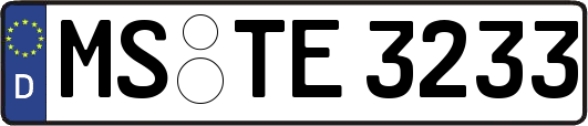 MS-TE3233