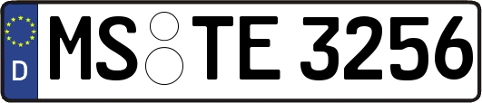 MS-TE3256