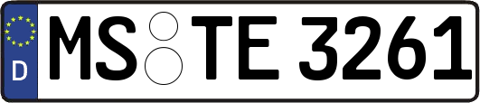 MS-TE3261