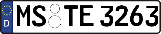 MS-TE3263
