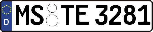 MS-TE3281