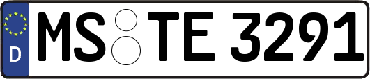 MS-TE3291
