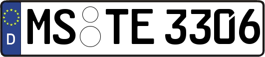 MS-TE3306