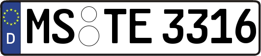 MS-TE3316