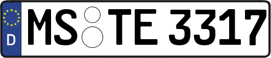 MS-TE3317