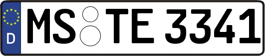 MS-TE3341
