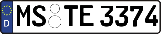 MS-TE3374