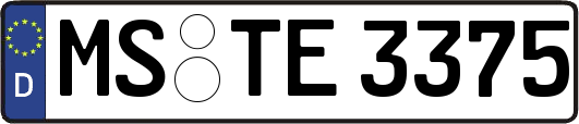 MS-TE3375