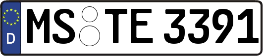 MS-TE3391